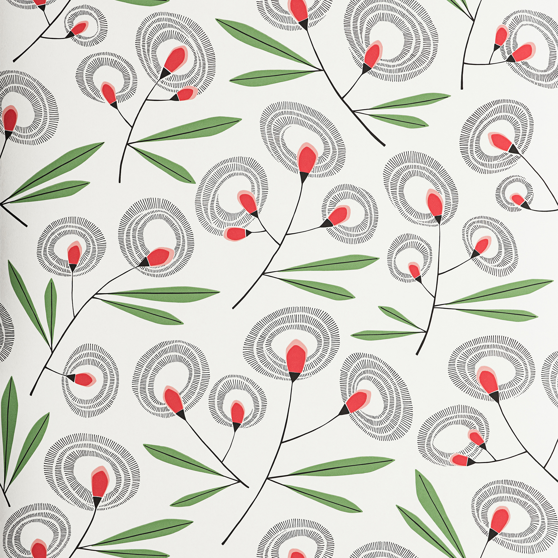 Halo Flower Redberry